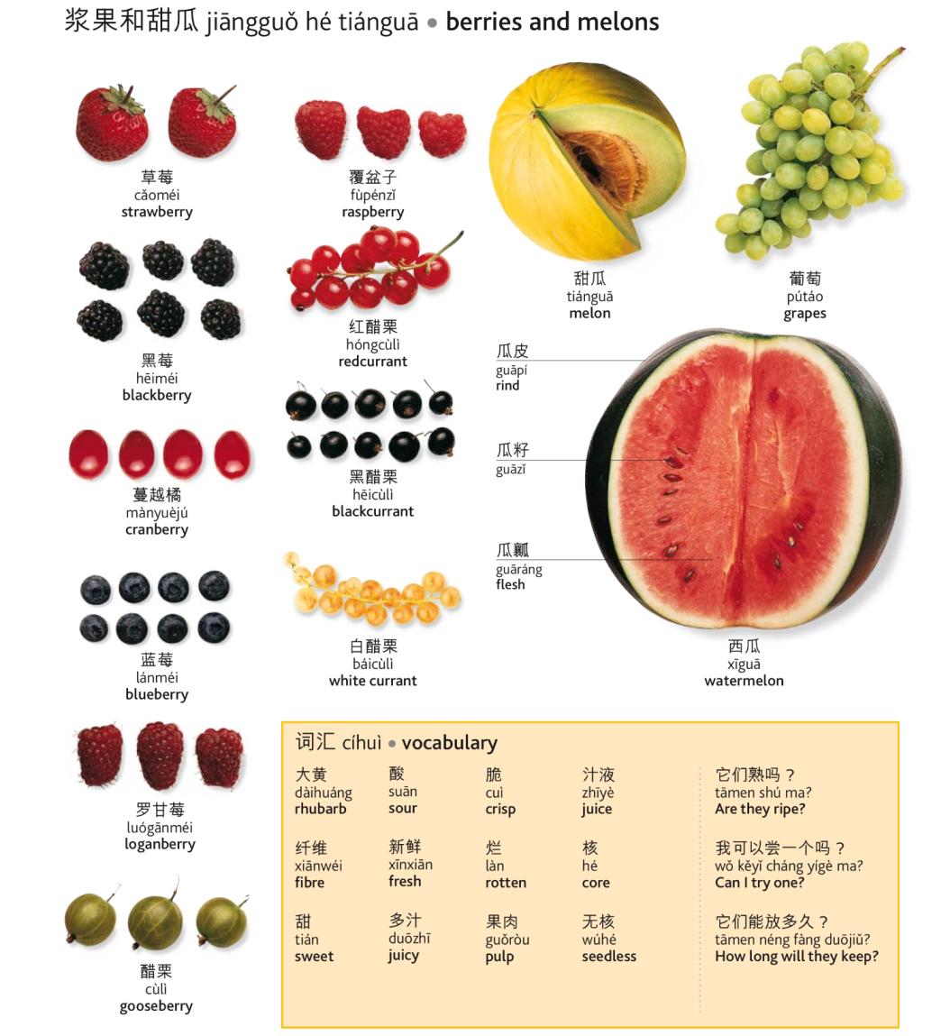 茶类饮料有哪些英语翻译,什么饮料最健康的英文翻译