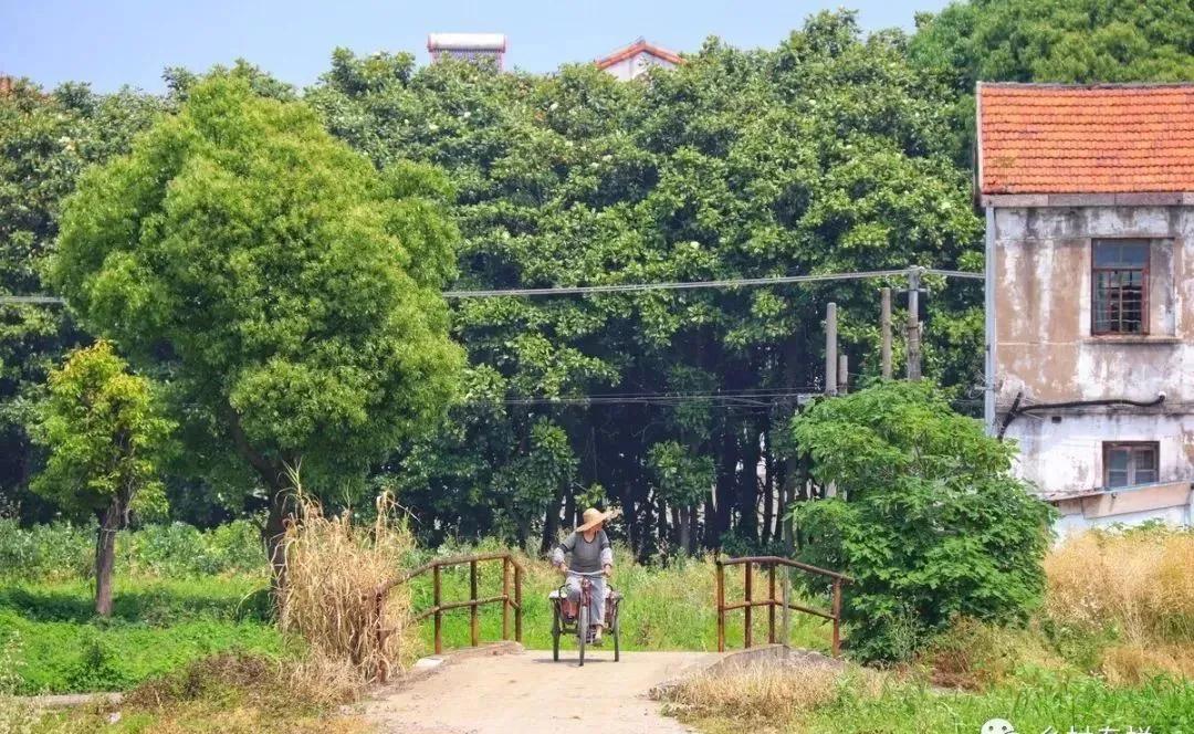 揭秘民间不起眼的暴利小生意利润,农村不起眼的暴利小生意