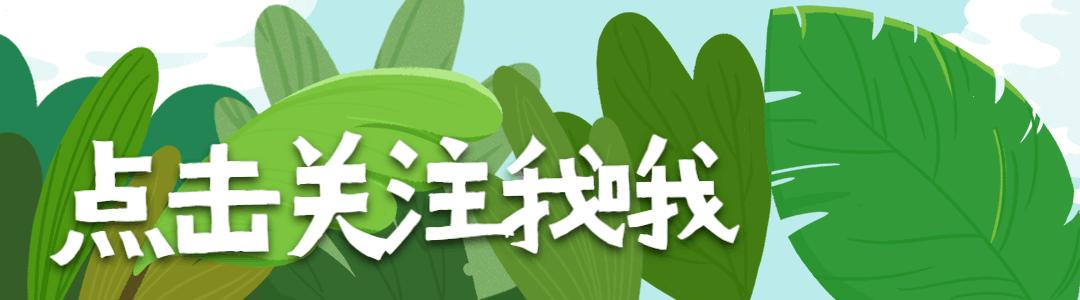 广东自考2022年1月成绩,2023自考成绩查询时间表格图片