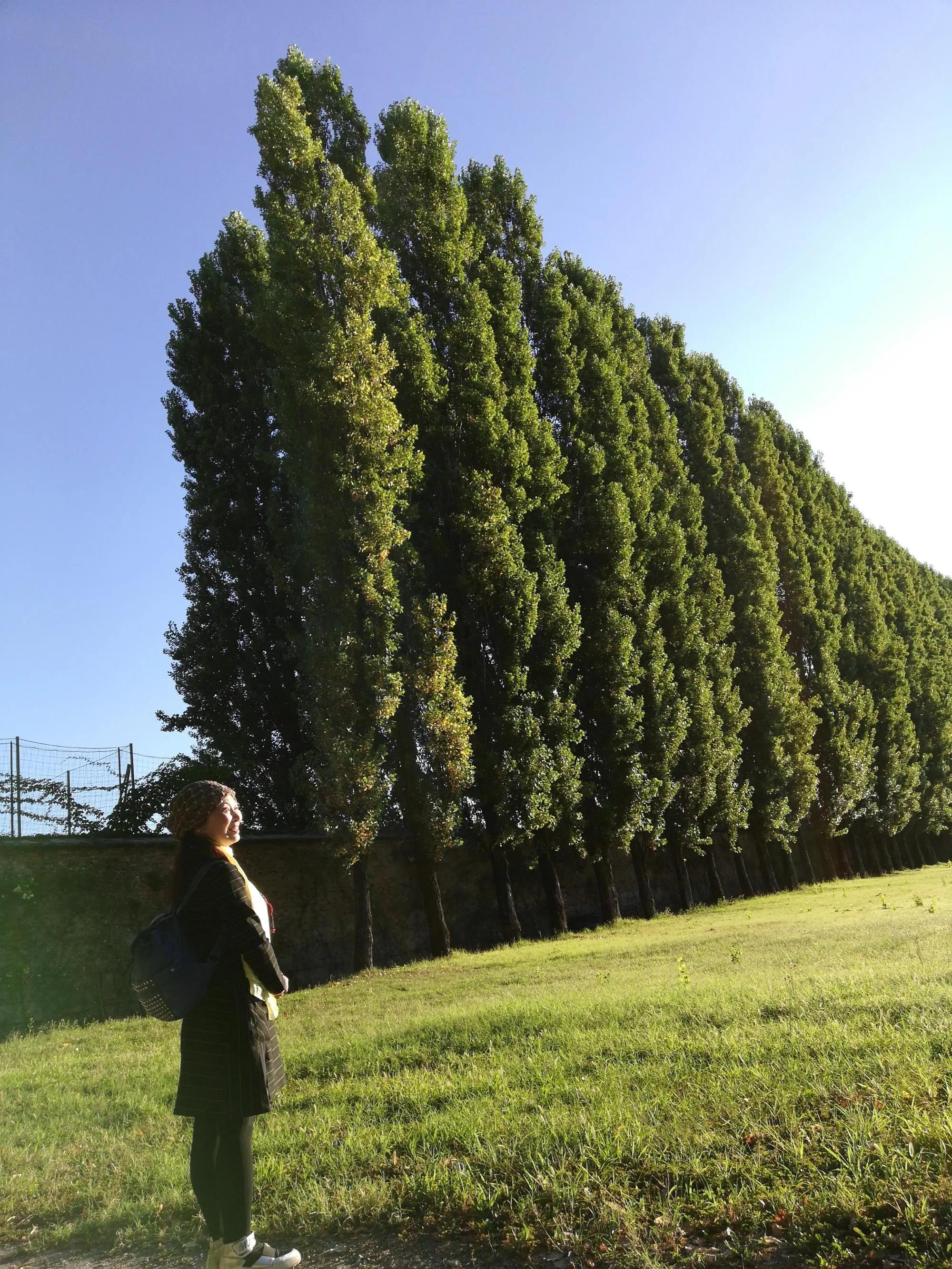 瑞士琉森一日游,瑞士琉森旅游攻略