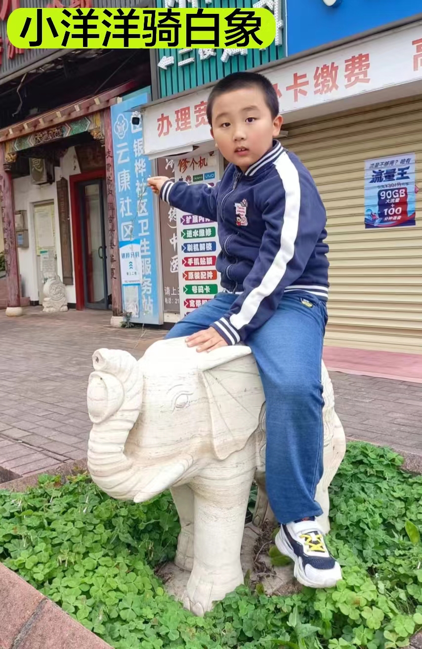 洋洋的故事简短,洋洋的所有经历