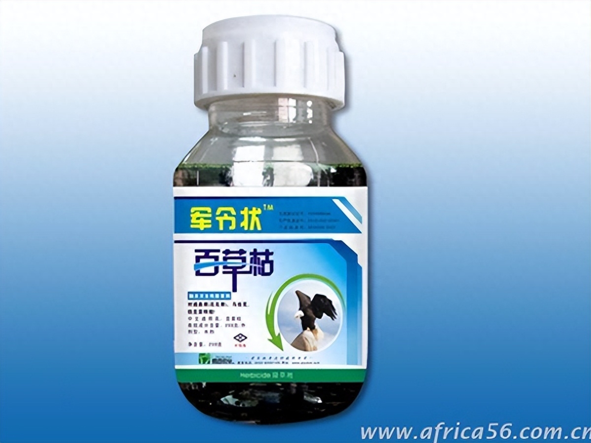 无耻之徒男的抱女的,无耻之极的男人