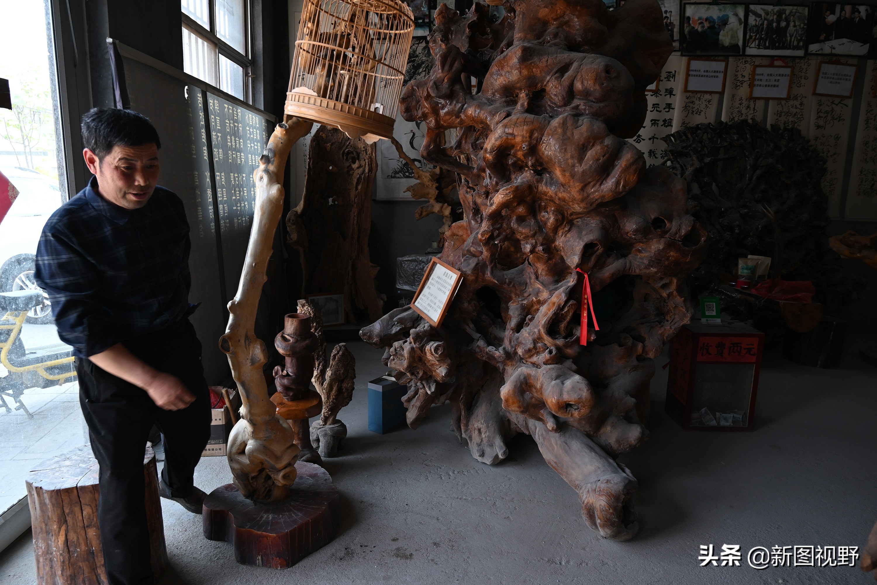 54岁农村大哥，把枯木当宝贝，13年来只收不卖，看他做啥生意