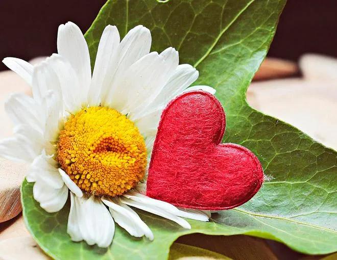 人生当中遇到最无奈的父母,当父母混得不好就不要听父母的话