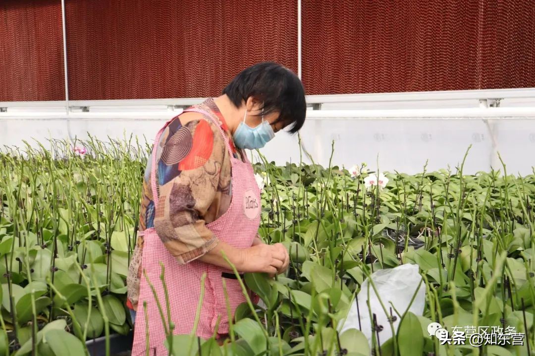 走在前开新局日照,走在前开新局出处