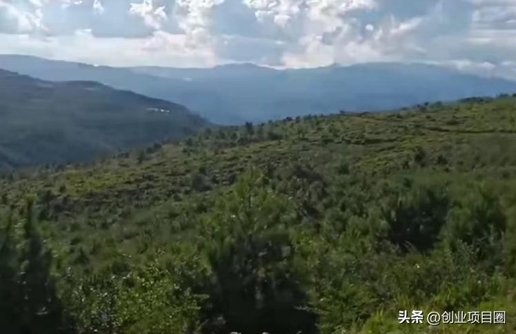 农村不起眼的项目三年赚55万,农村不起眼的项目三年赚五十万