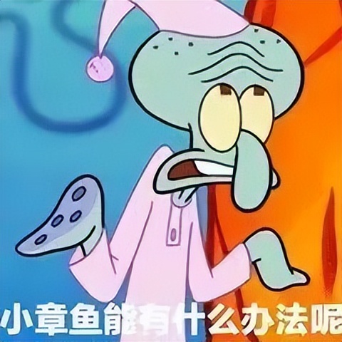 brain不是脑子的意思吗,brain是啥意思呀