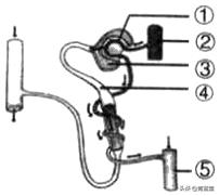 2021年黑龙江省龙东地区中考生物试卷