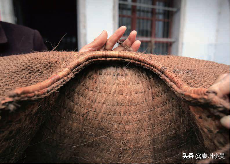 寒江蓑笠翁，细说蓑衣史