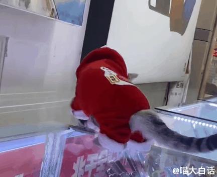 “男票打篮球裤子被队友扒了...”哈哈哈哈救命一整个社死了