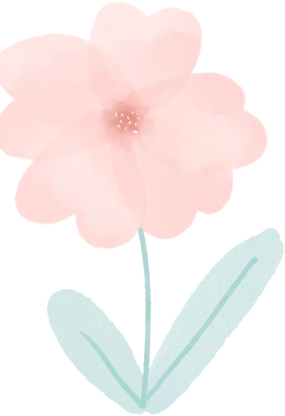 美妆好物推荐情人节,情人节美妆礼盒推荐