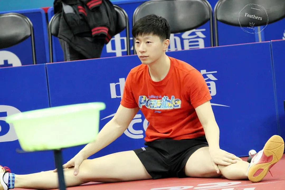 乒坛传奇马龙新加坡,马龙乒坛第一人