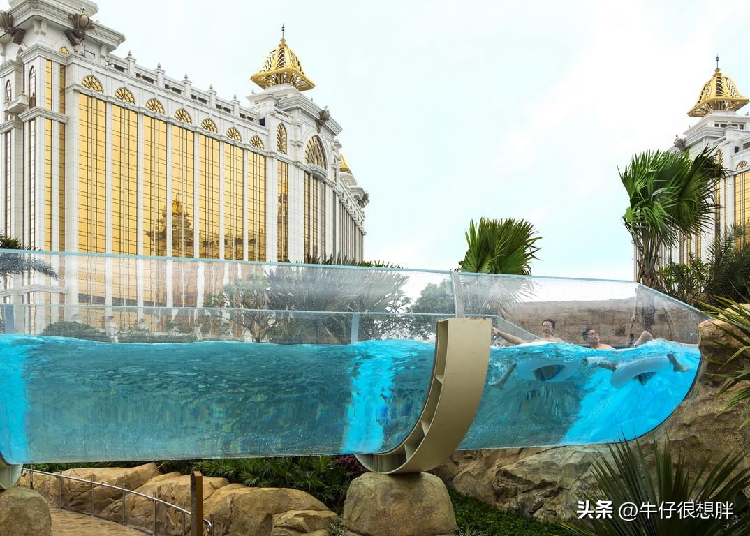 澳门遛娃5天自由行攻略,亲子游香港和澳门哪个更推荐