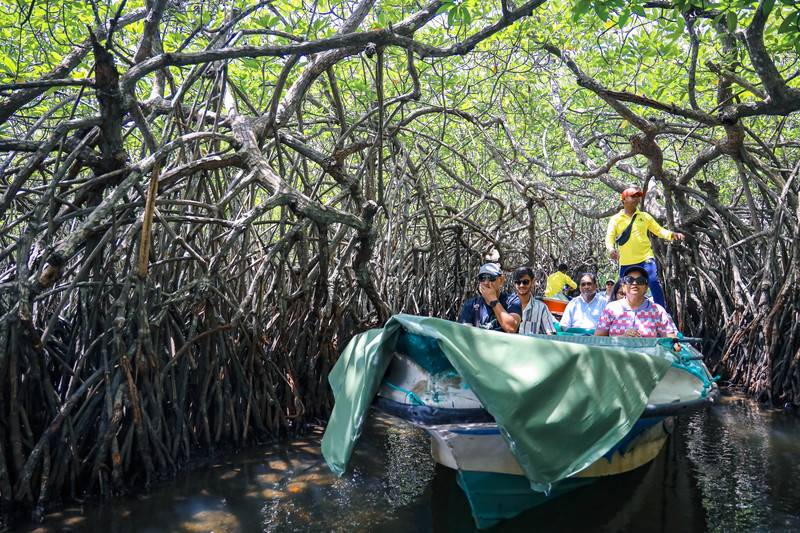 斯里兰卡旅游攻略必去景点,斯里兰卡旅游攻略最佳时间