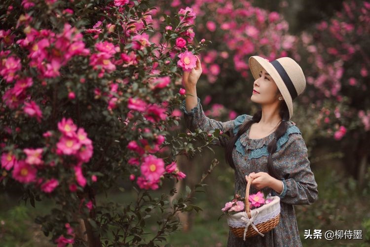 拍照之前怎么摆姿势高级,拍照姿势不会摆看看这些小技巧