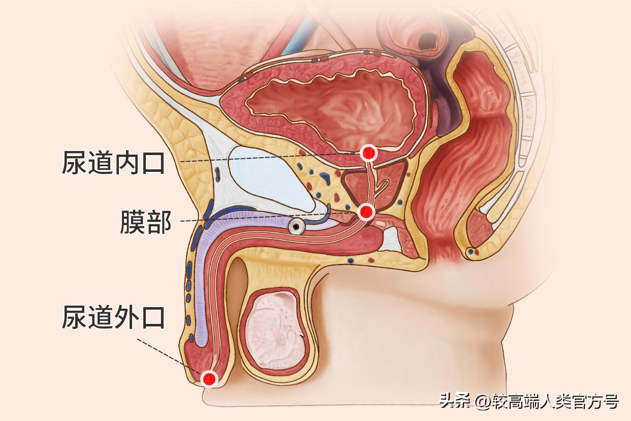 人类最深的洞,人类身上的洞