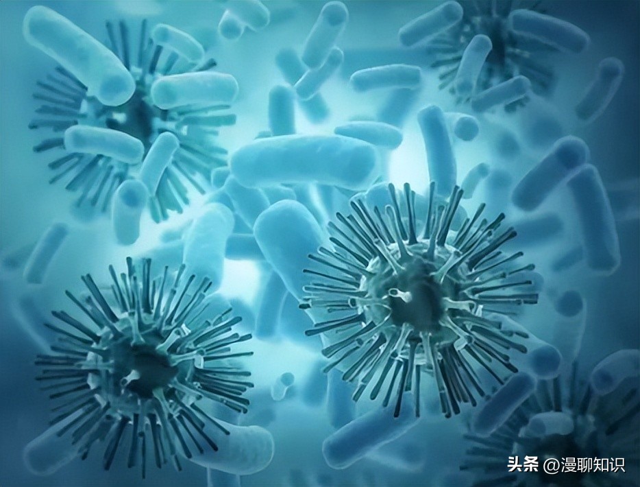 马传染性子宫炎传染性较强，它的传播途径有哪些