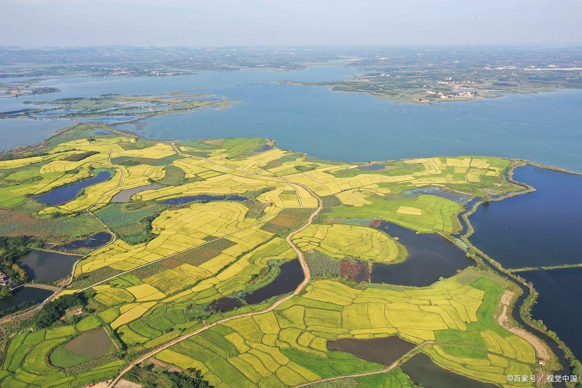 全网最全素材建议收藏,中国白酒最完整汇总