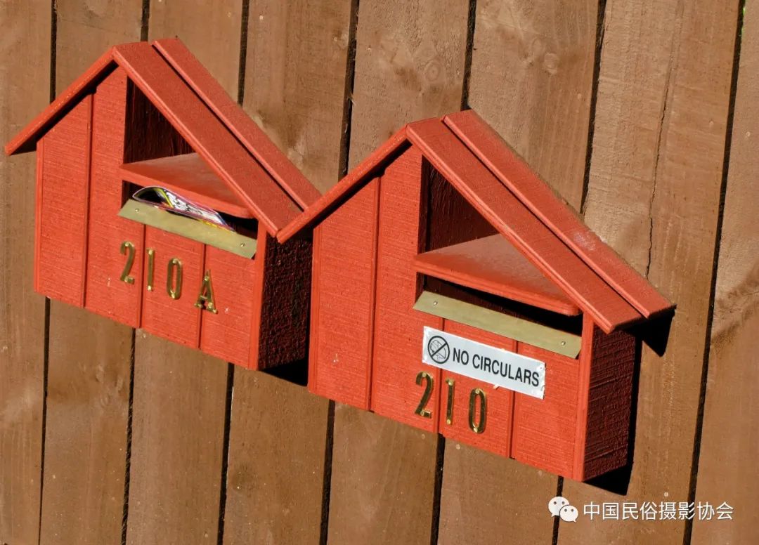 中新建交50周年｜“人类贡献奖”年赛中的新西兰民俗故事