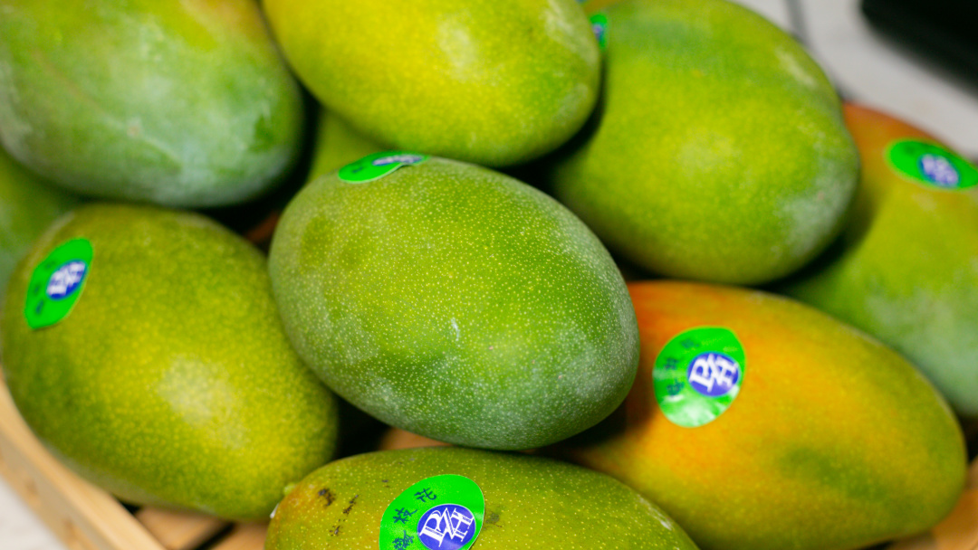 银河温泉双人水果温泉,泡汤泉免费吃水果