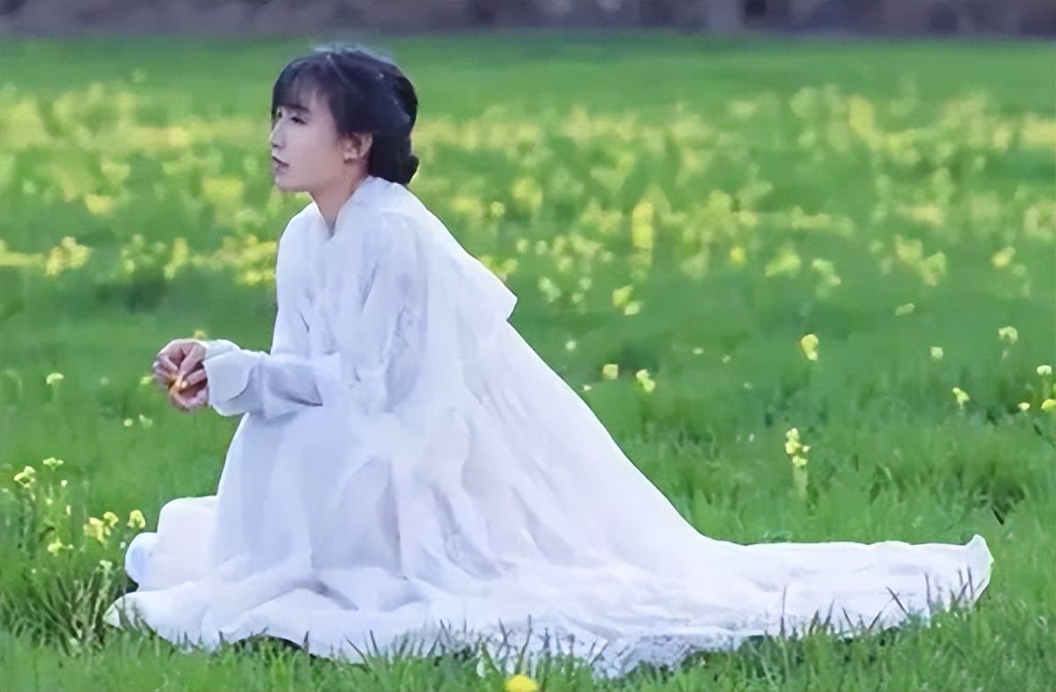 李子柒停更一年，外网视频*放播**还能产生广告收益，高达78万元每月