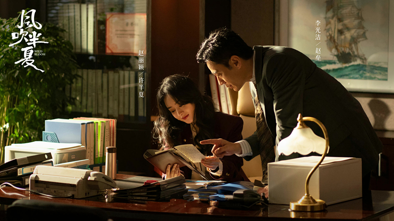 风吹半夏发布会赵丽颖欧豪,花开半夏赵丽颖和欧豪什么关系