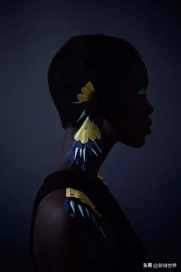 一组纸艺作品,令人惊艳的纸艺作品