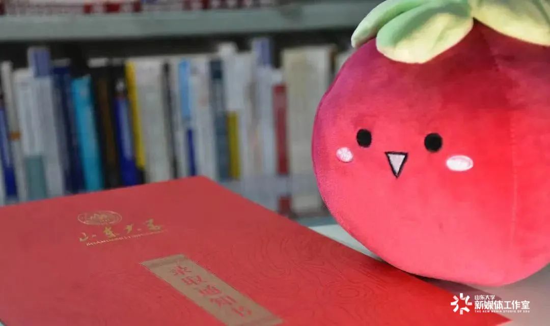 沉浸式体验萌新,萌新研究生学习攻略