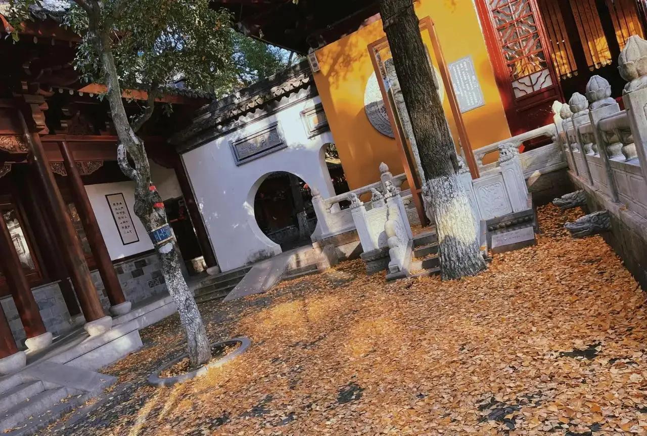 苏州秋季旅游最值得去的地方,苏州赏秋一日游攻略