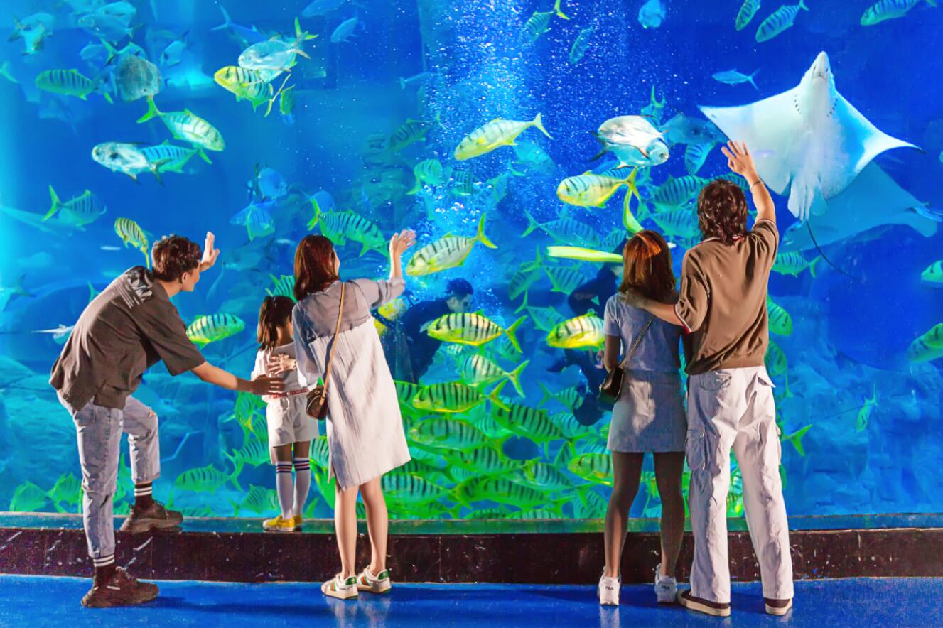 威海华夏城牡丹园最新信息,威海华夏城在威海的哪个区