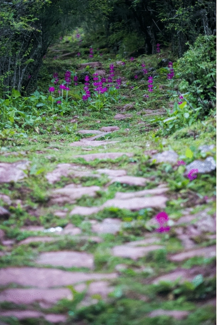 川菜江湖特色菜馆,地道川菜雅安