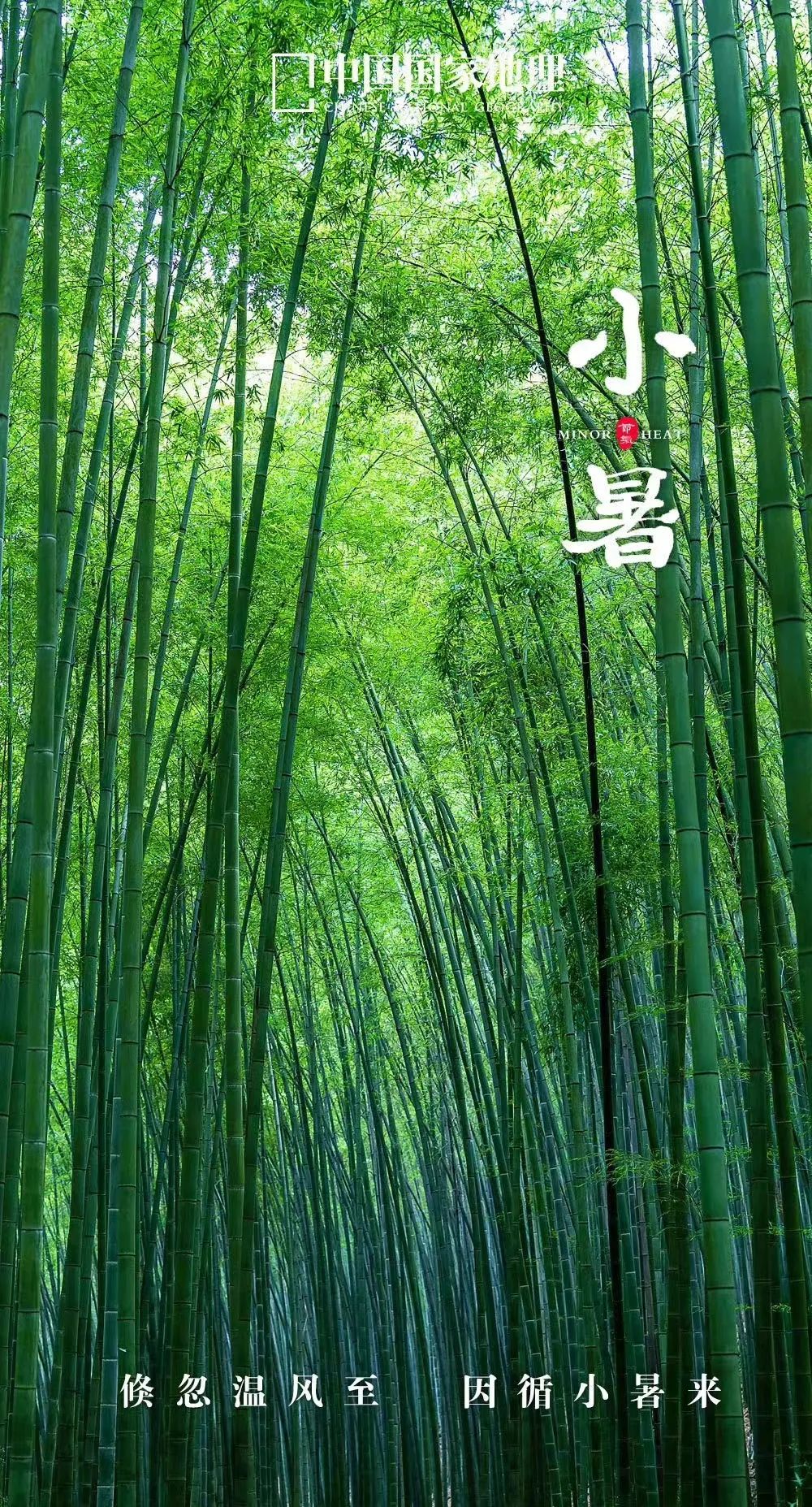 一年中最有智慧的节气图片,365天最美24节气图诞生惊艳国人