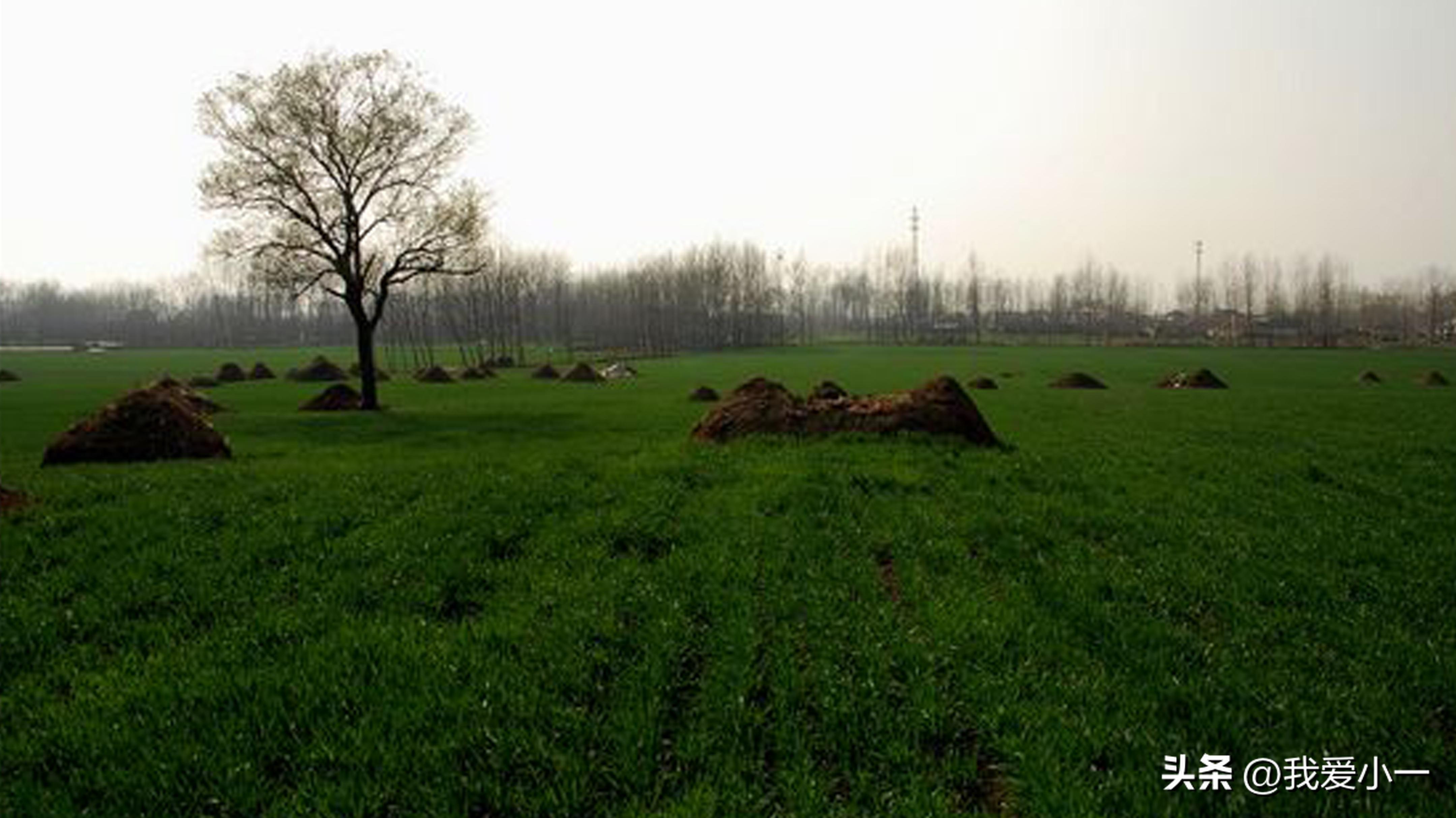 云南楚雄古建筑屋顶,云南楚雄守护古建筑