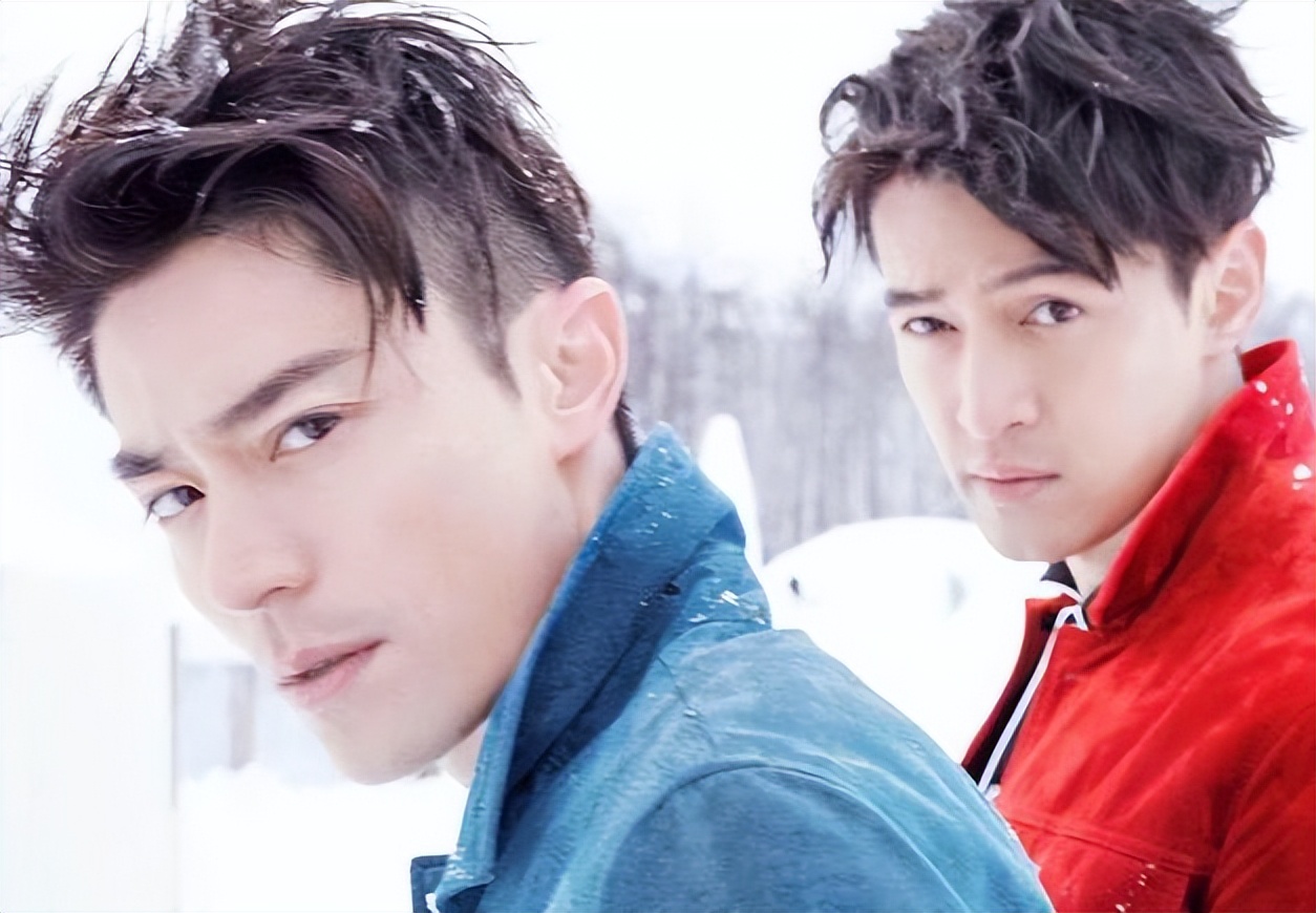 夫妻本是同林鸟大难临头走不了,夫妻本是同林鸟大难临头不相飞