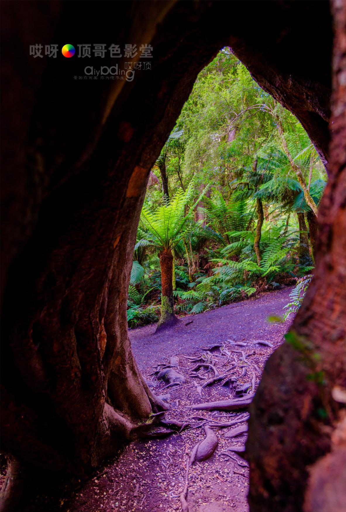 旅行家的眼神，看到不一样的人文澳洲（四之一）
