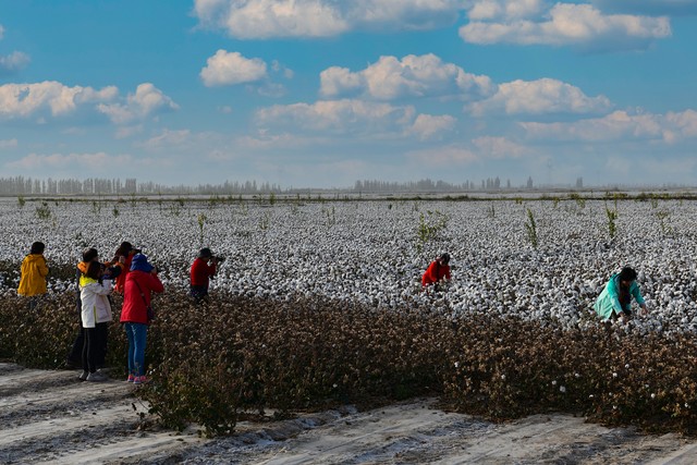 朋友辞职去*疆新**包了1000亩地，大家觉得有搞头吗
