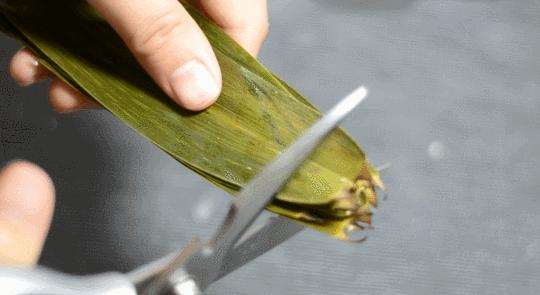 手残党怎么包四角粽子,六个月以上宝宝粽子做法