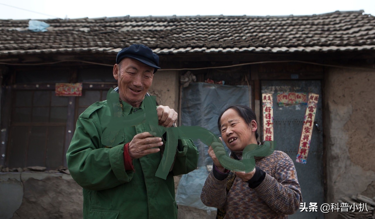 小伙救蛇后多年后蛇报恩,女子救蛇多年后长成巨蛇