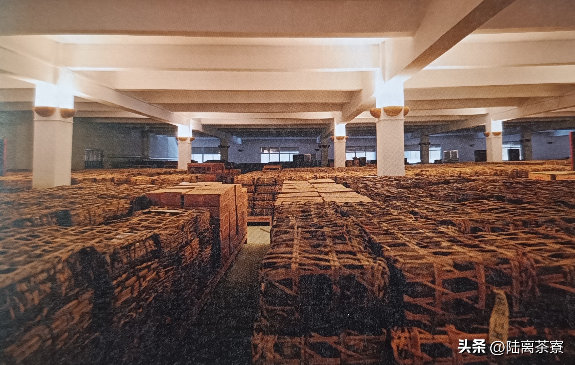 陈永堂与双陈普洱：深耕仓储，野望未来