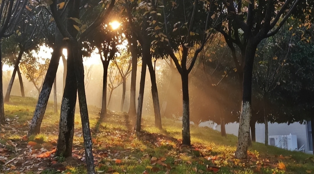 悄悄告诉你，来交大希望学院不能错过这站！