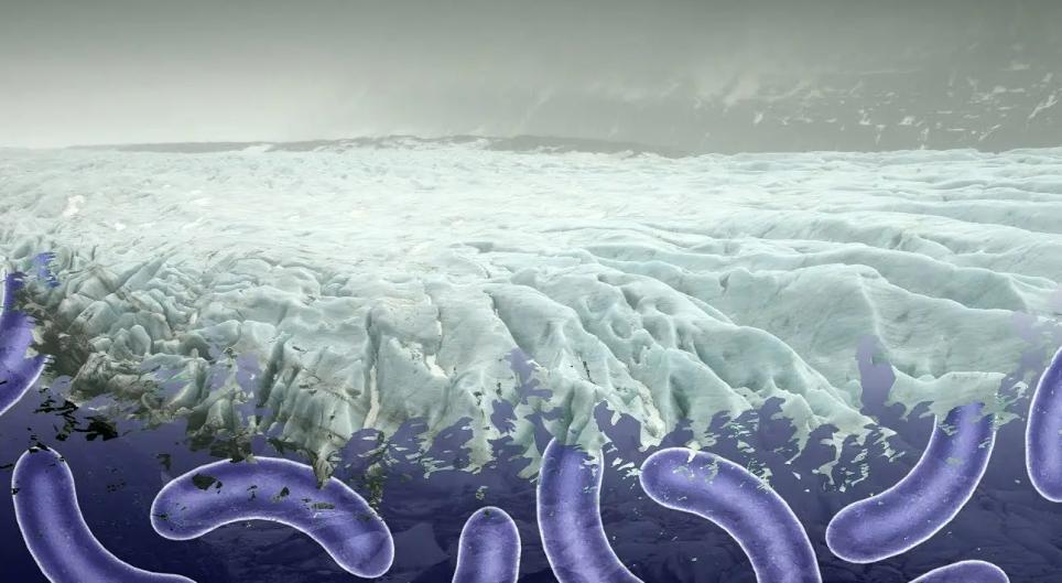 关于史前病毒的研究,史前巨型病毒是真的吗