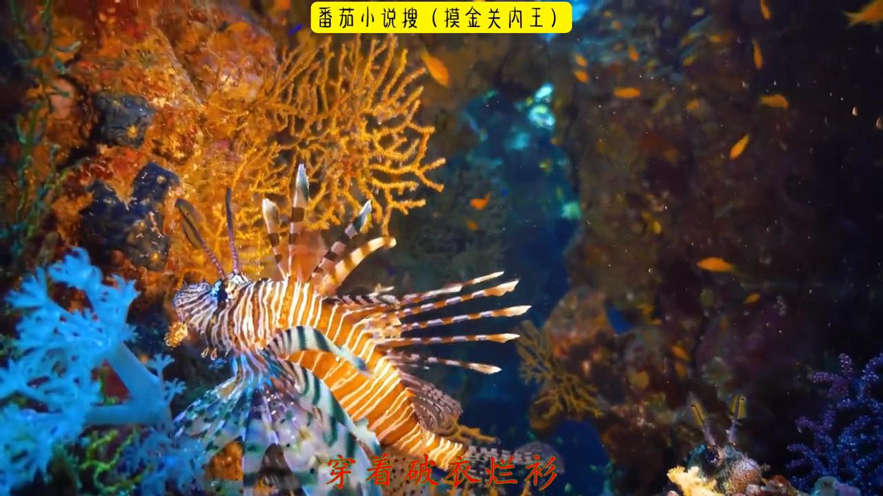 超爆小故事爱情,超爆小故事和校霸谈恋爱