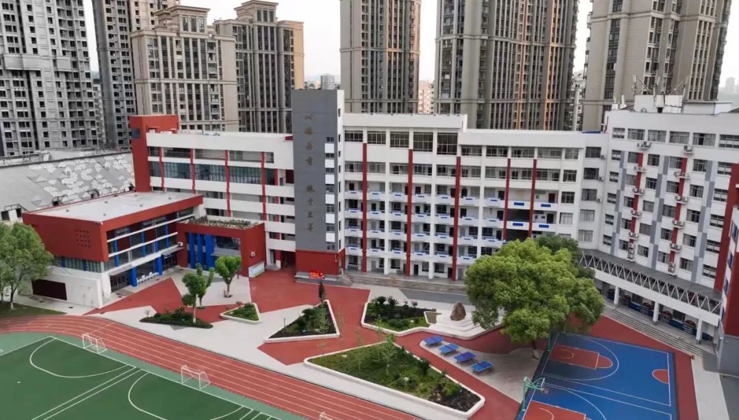 五年的耕耘,5年的耕耘