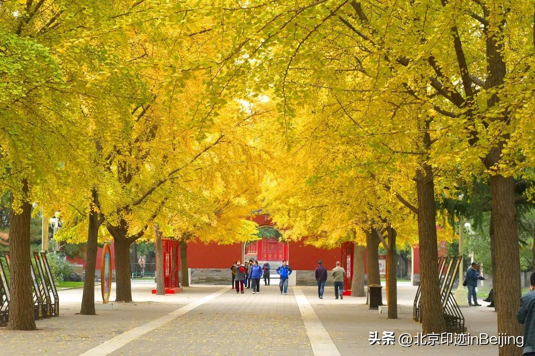 北京的秋朗读,北京的秋的夜晚