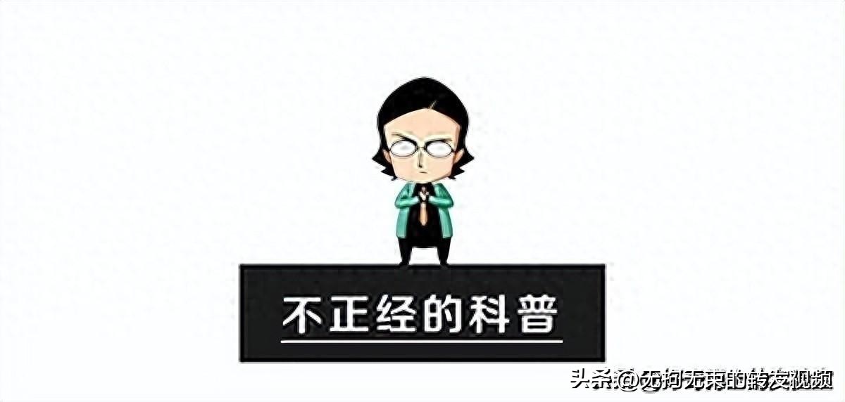 屁股上有白色条纹,屁股上都是白色条纹