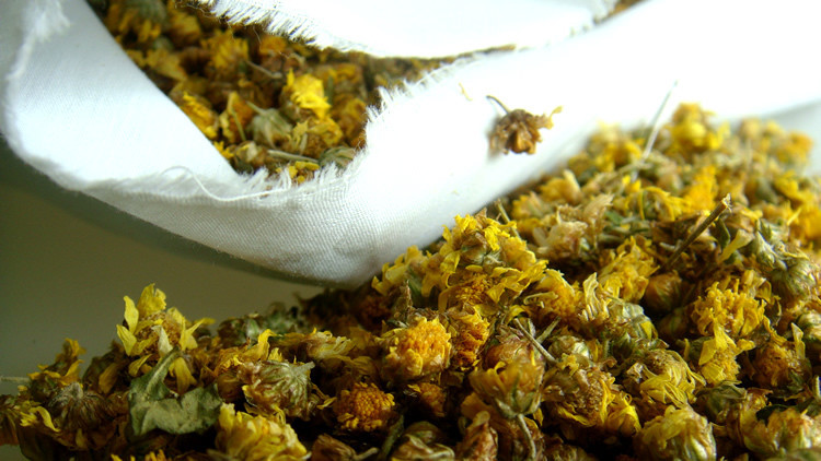 野菊花杀虫的有效成分,乡间生长的野菊花有什么药效