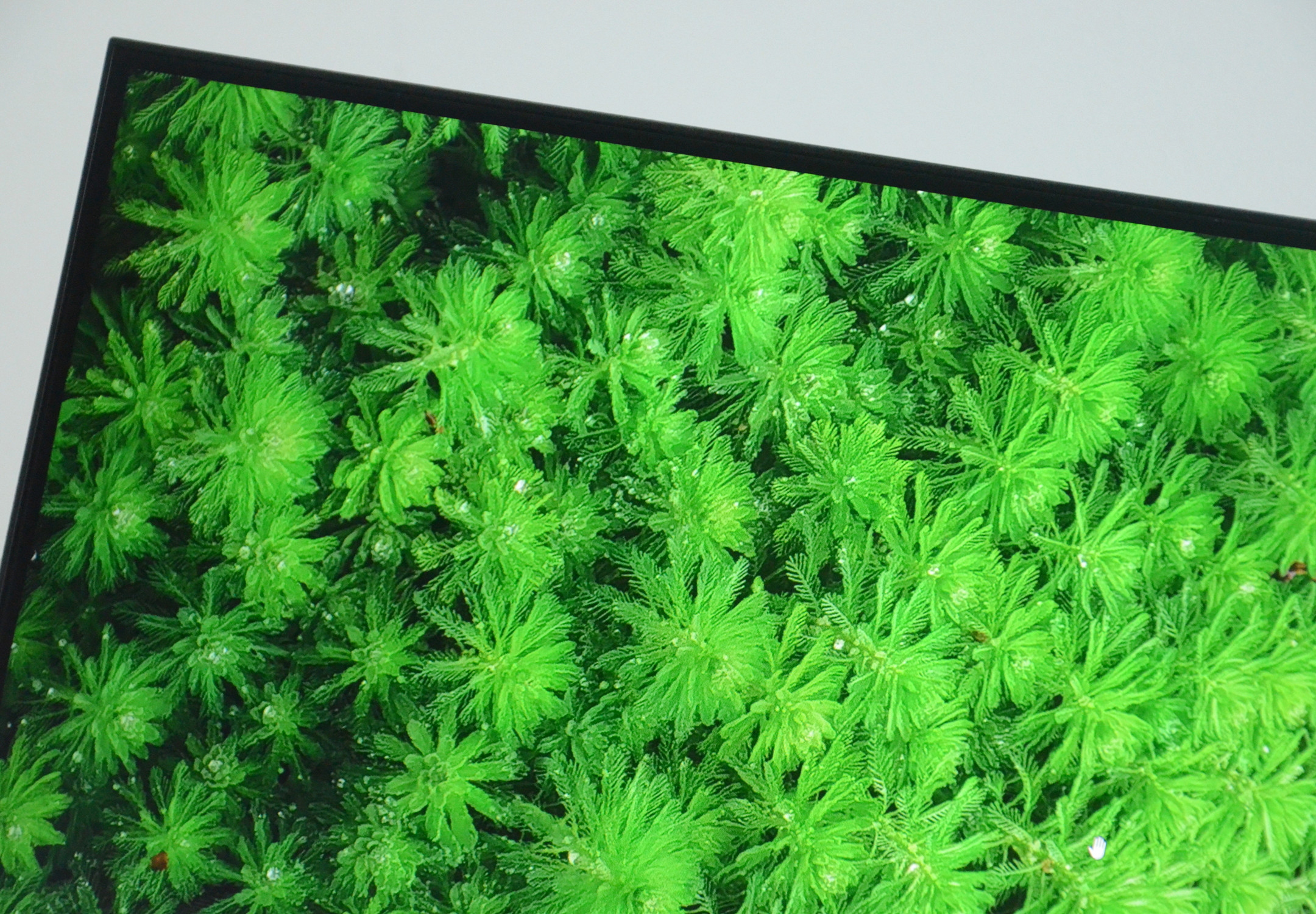 最有性价比的32寸2k显示器,最具性价比32寸曲面显示器推荐