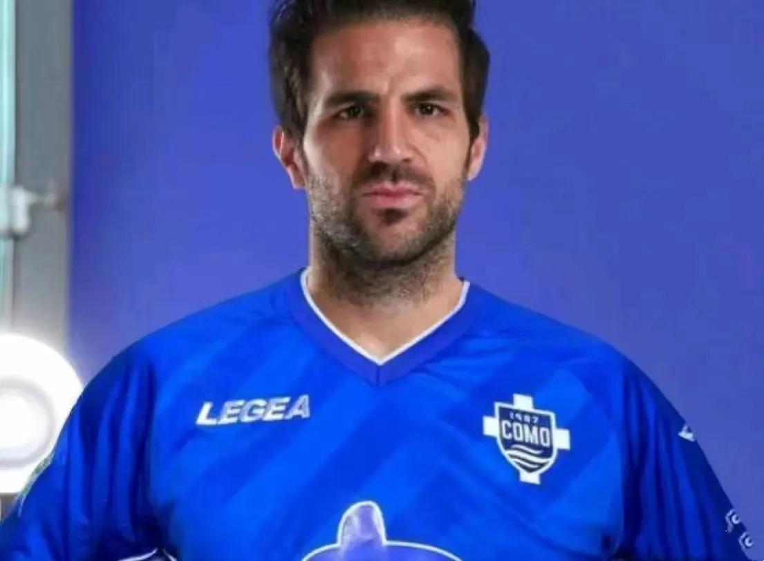 塞斯克法布雷加斯,塞斯克·法布雷加斯集锦