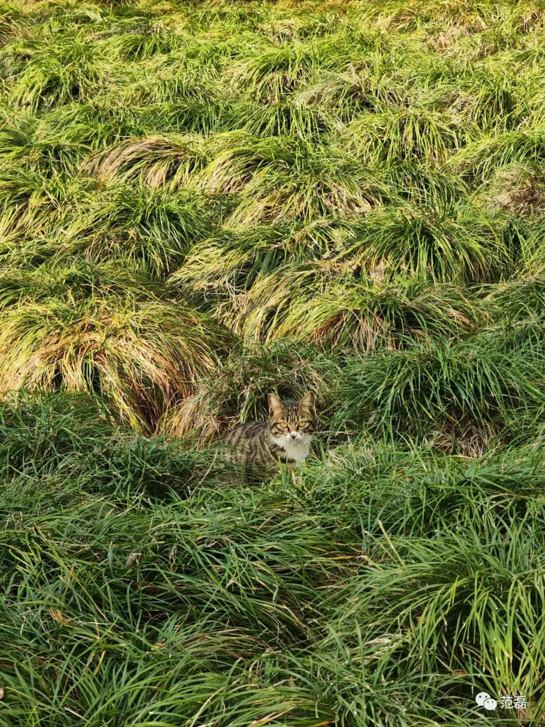 血泪教训：买相机就是折腾啊！我怎么就这样掉进单反的坑里了？