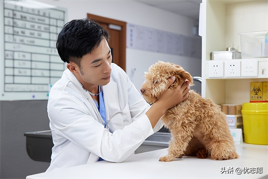 盘点5个就业质量极高的专业,推荐4个冷门但就业率高的专业